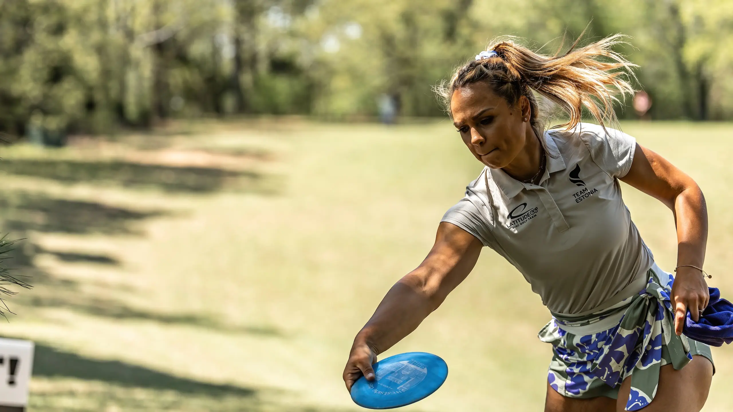 Disc golf tournament background